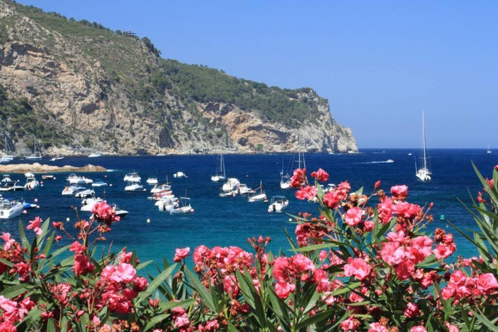 Naturaleza Y Relax A 5 Min A Pie De La Playa Tamariu Dış mekan fotoğraf